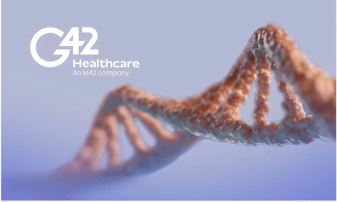 Boosting Search Visibility with Targeted SEO