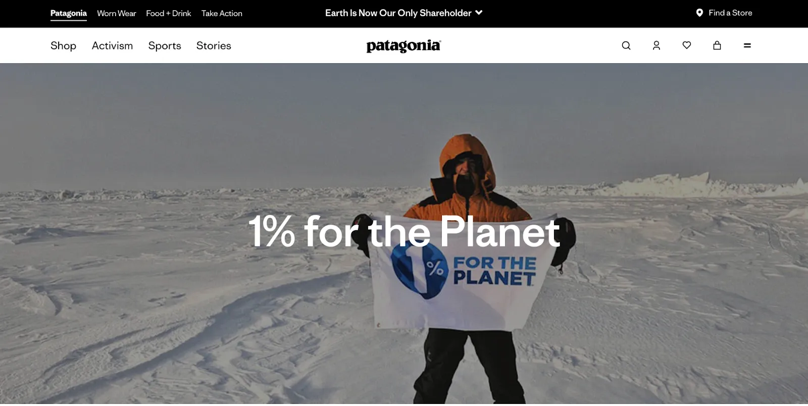 patagonia branding example.webp